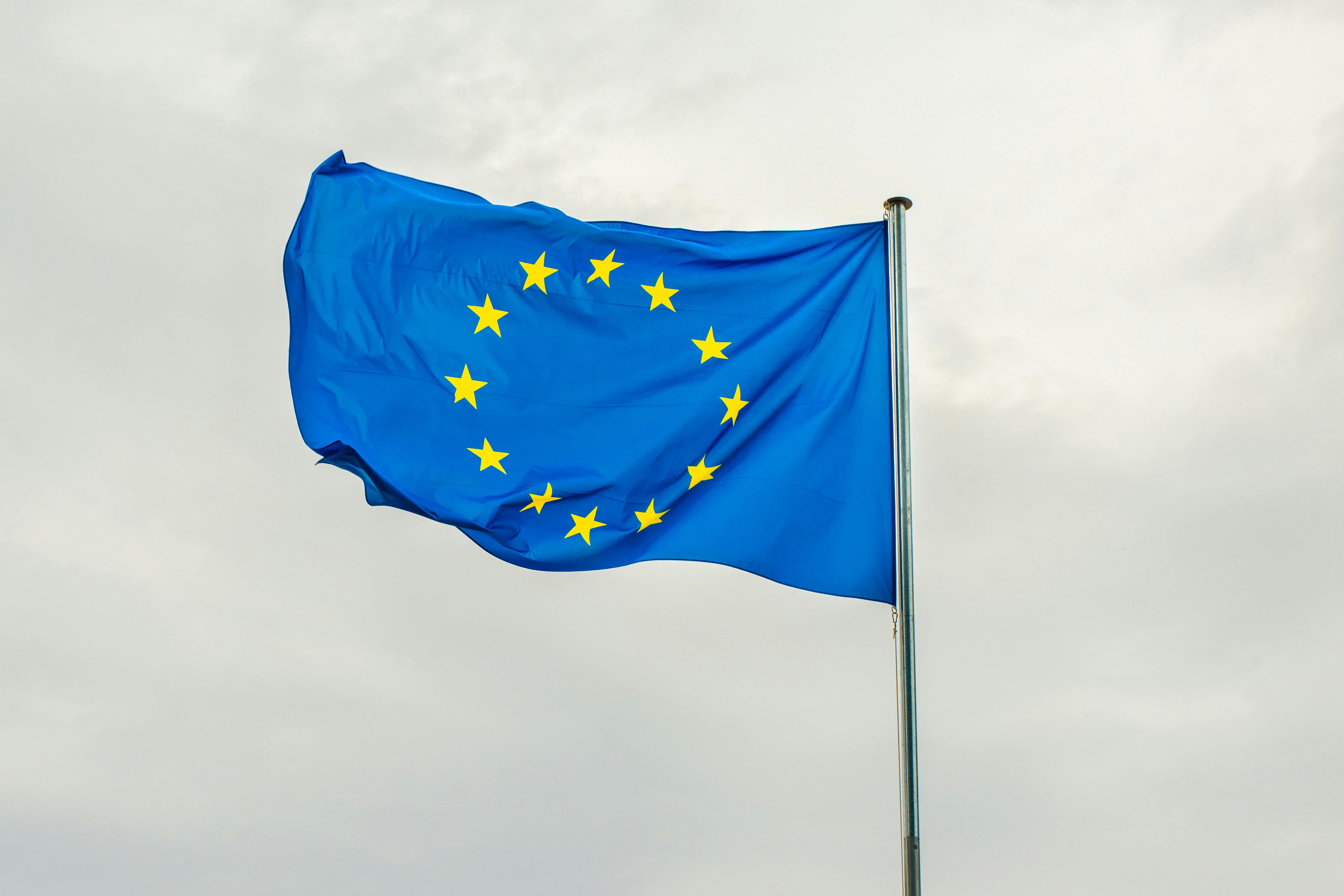 Immagine Corso Project management & Europrogettazione